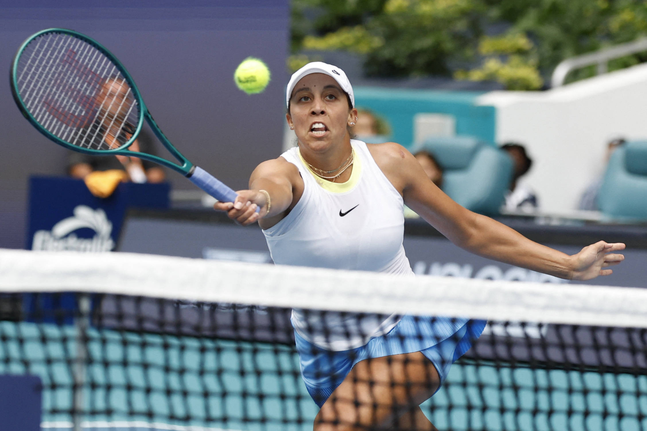 凡的韧性 凡的韧性