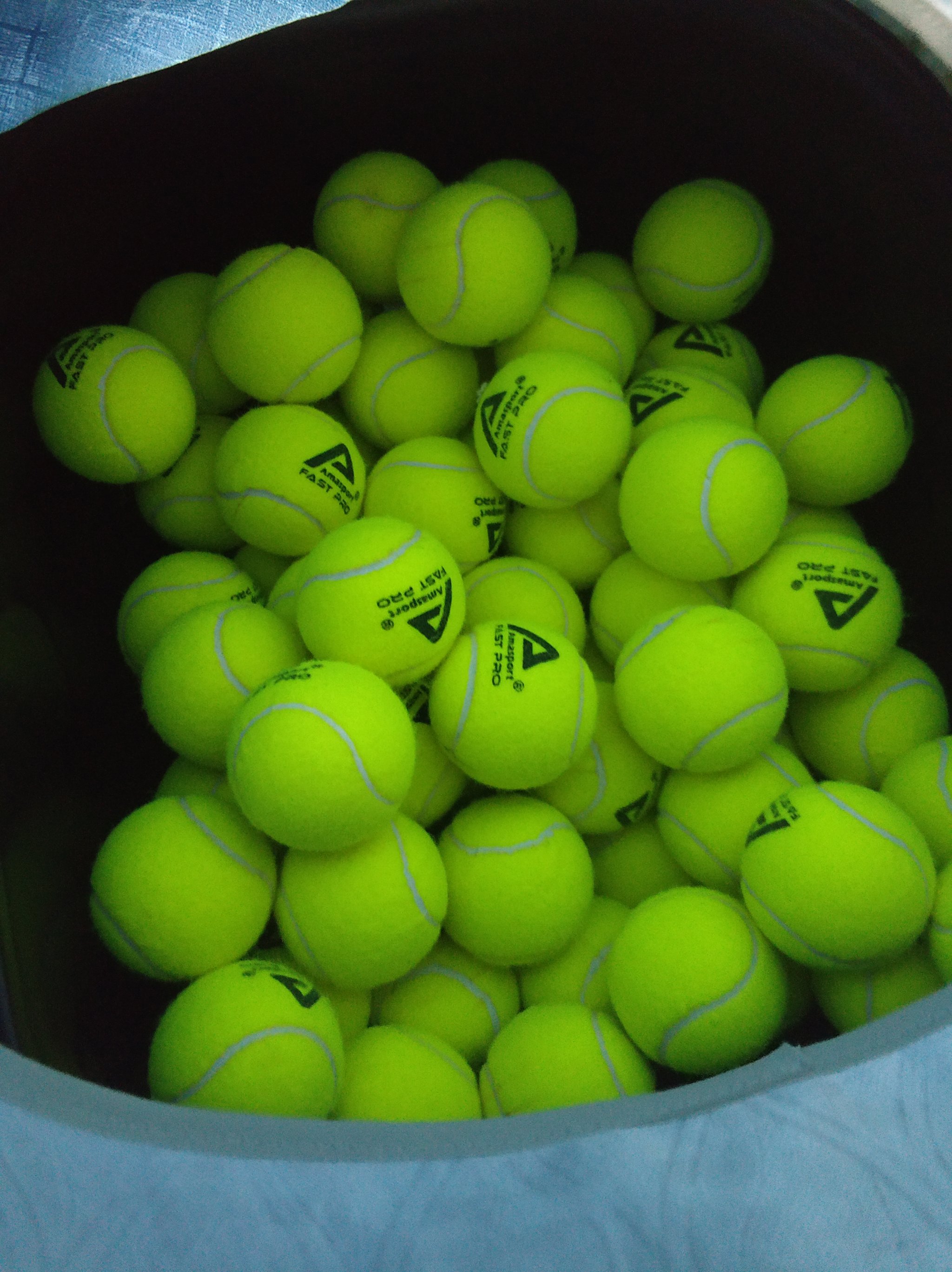 在身体条件 在身体条件