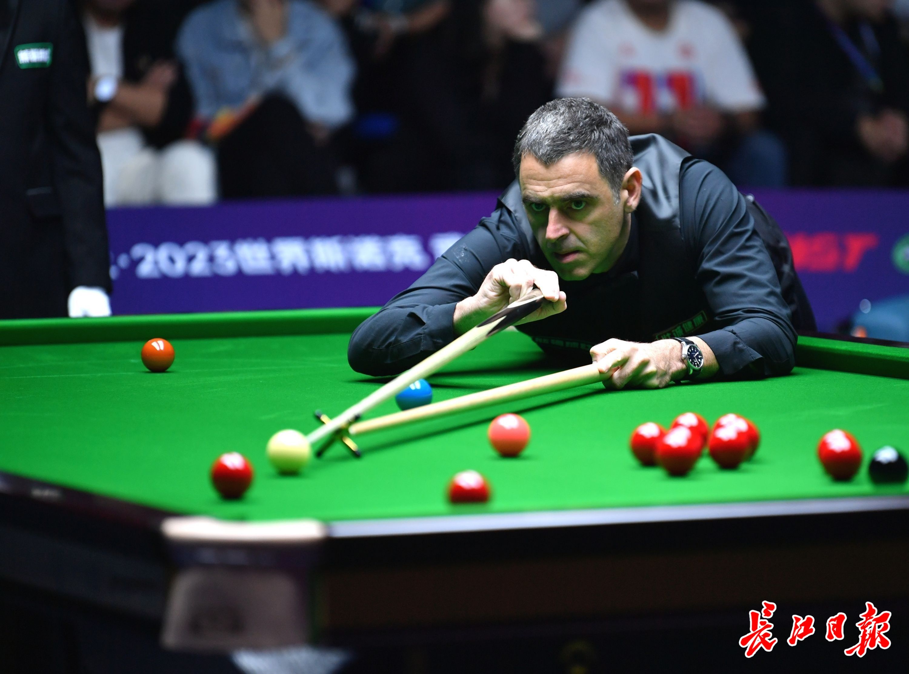 根的典型代 根的典型代