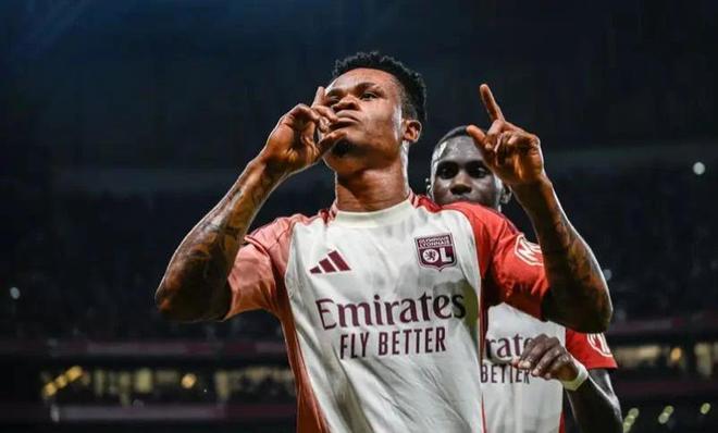 他们的反弹 他们的反弹