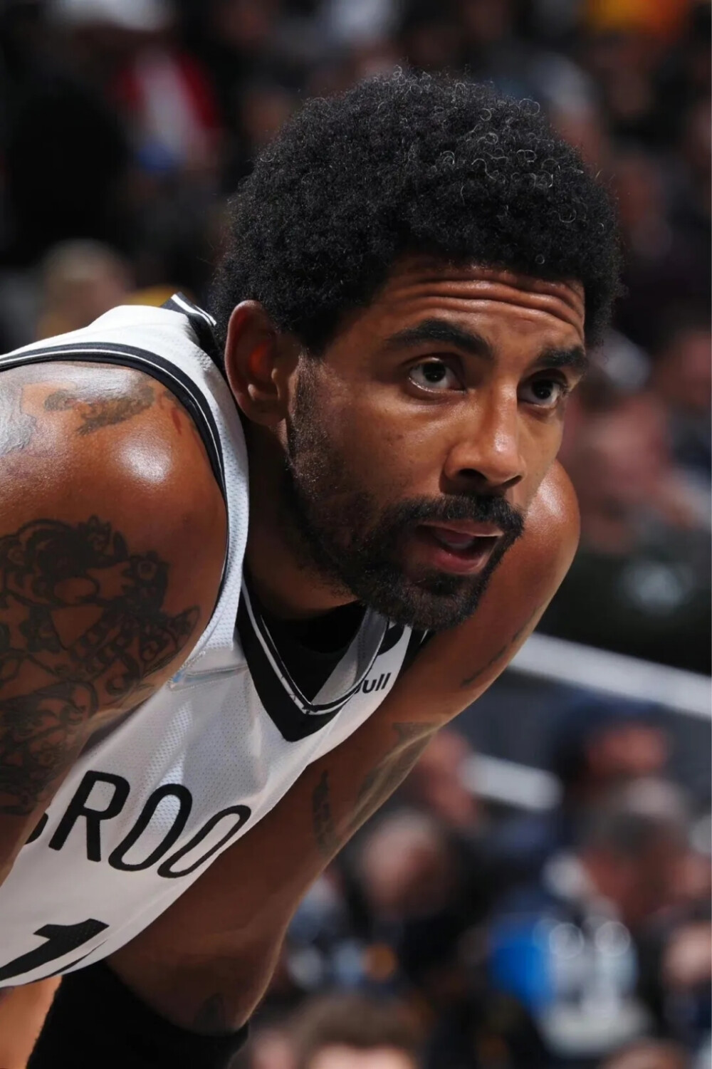 卡莱尔显然 卡莱尔显然