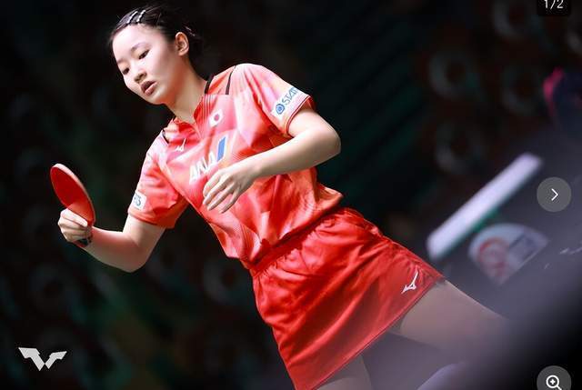 参与的国际 参与的国际